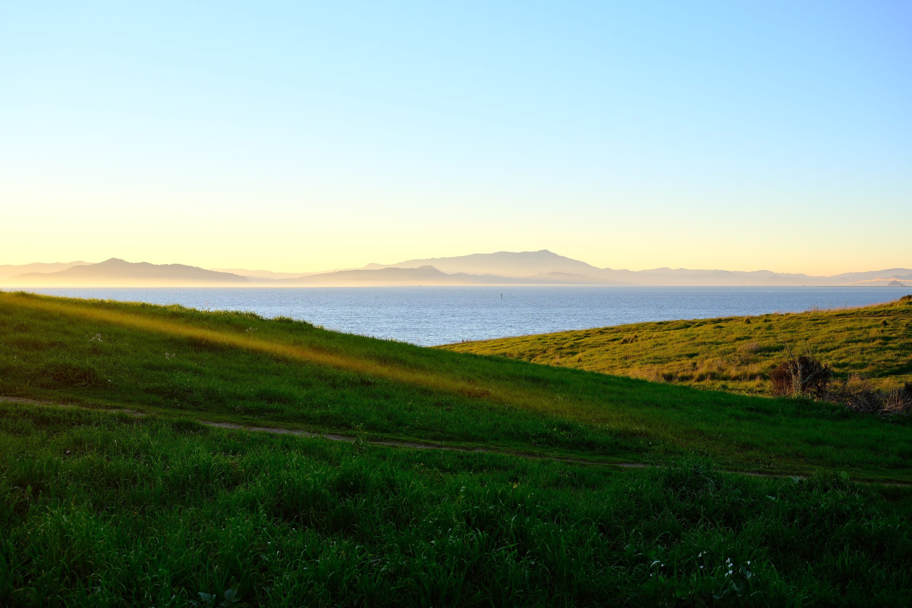 Photo berkeley_marina_caesar_chavez_green_grass
