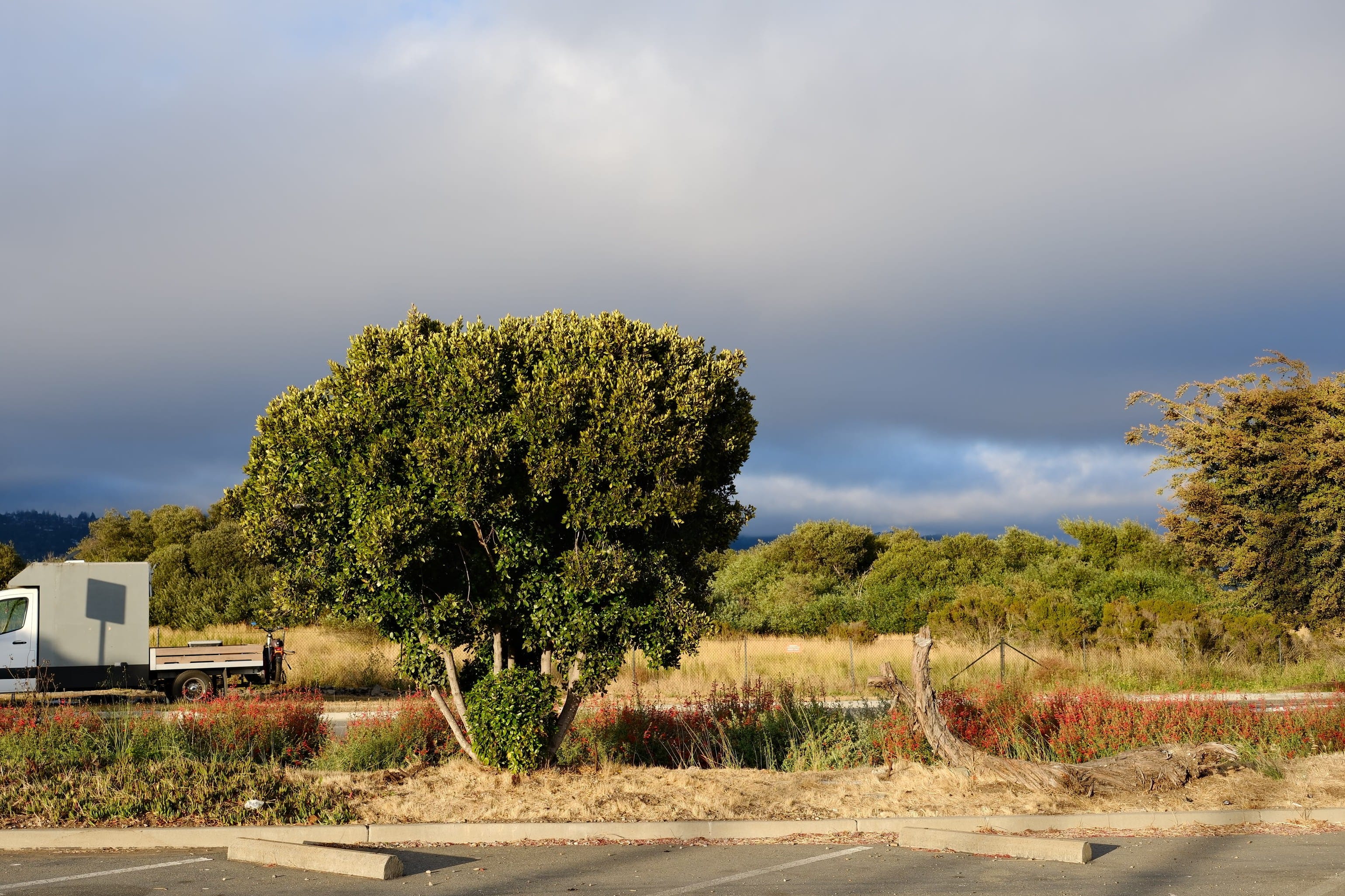 Photo berkeley_marina_parking_lot_2