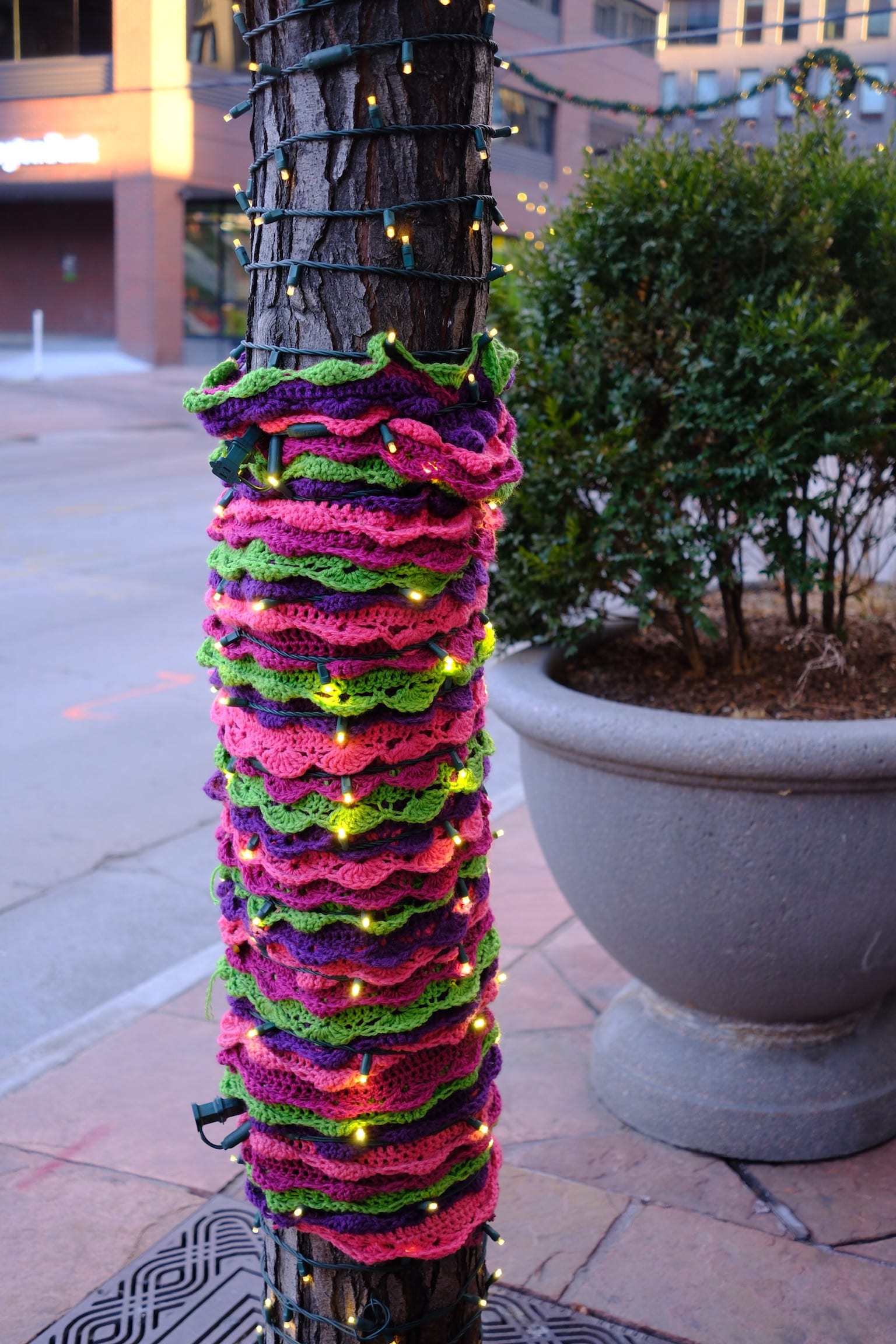 Photo denver_cozy_bark