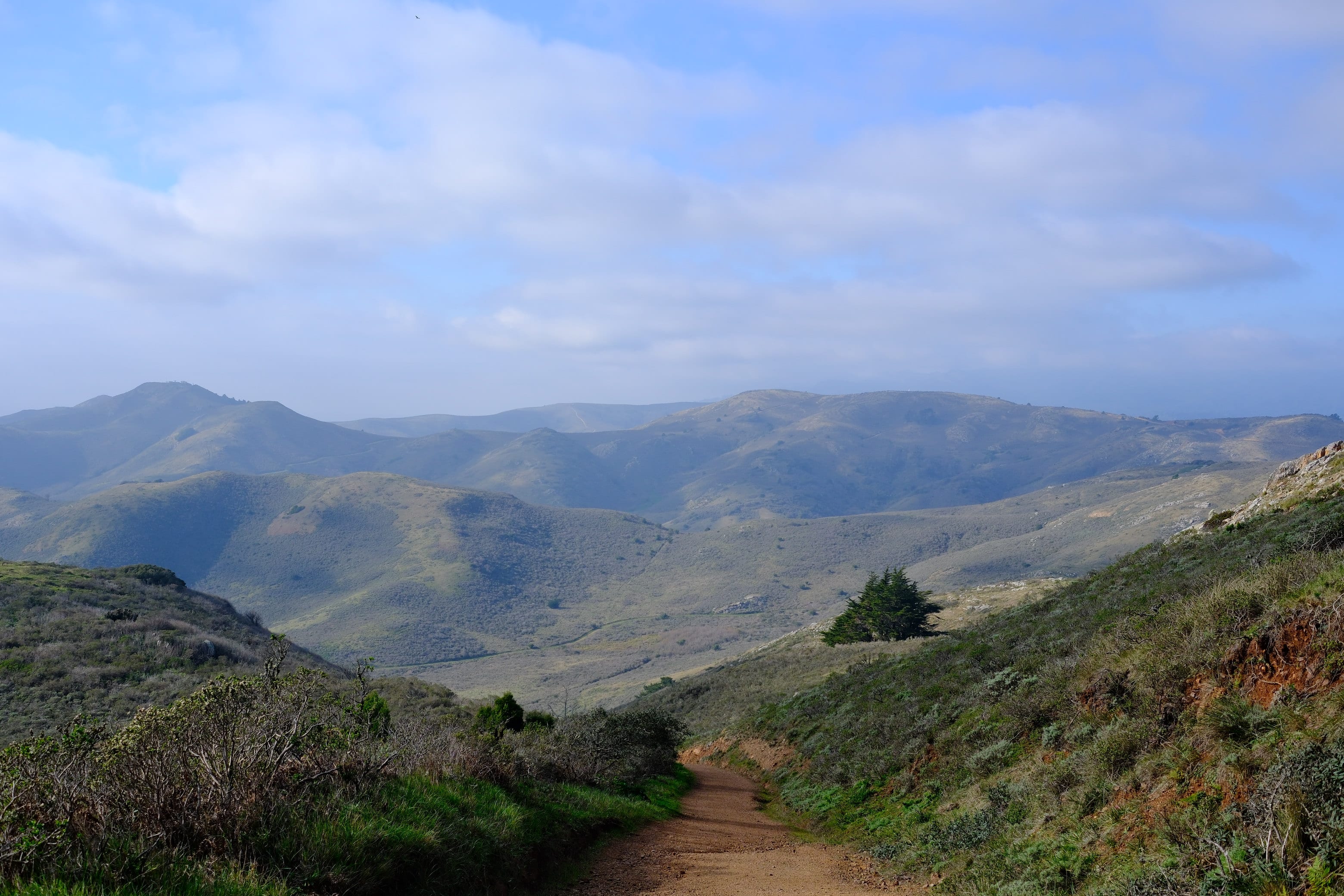 Photo sfo_marin_path_2