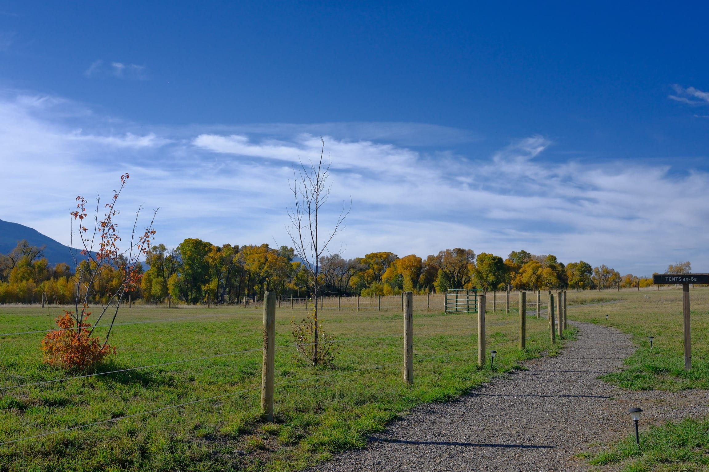 Photo yellowstone_under_canvas_2